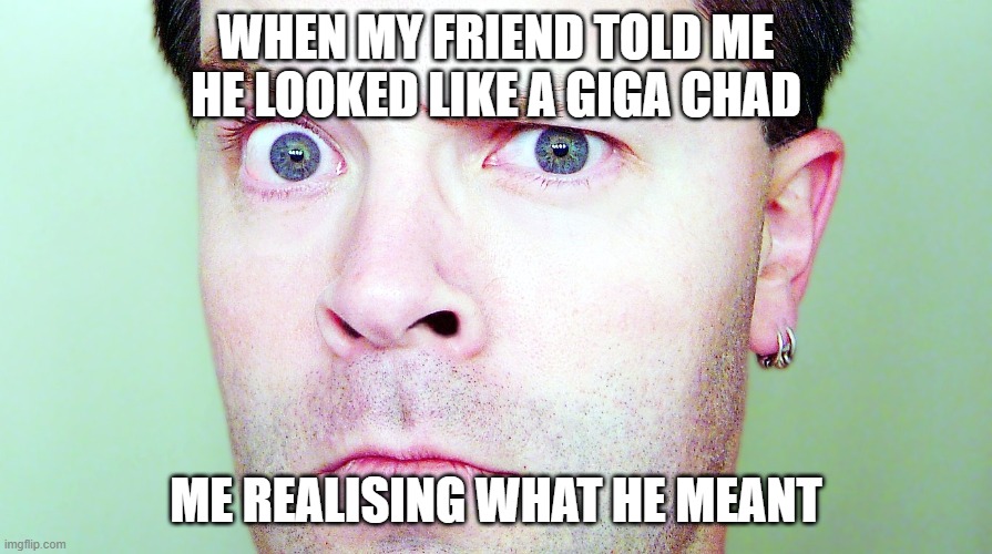 suspicious | WHEN MY FRIEND TOLD ME HE LOOKED LIKE A GIGA CHAD; ME REALISING WHAT HE MEANT | image tagged in suspicious | made w/ Imgflip meme maker