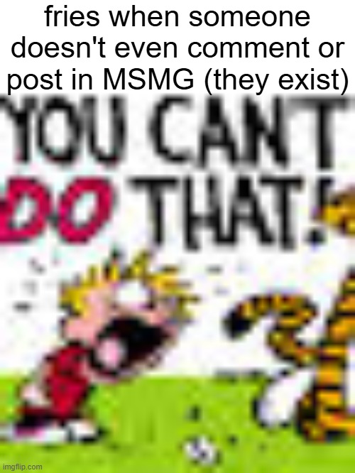 Calvin And Hobbes "You can't DO THAT!" | fries when someone doesn't even comment or post in MSMG (they exist) | image tagged in calvin and hobbes you can't do that | made w/ Imgflip meme maker