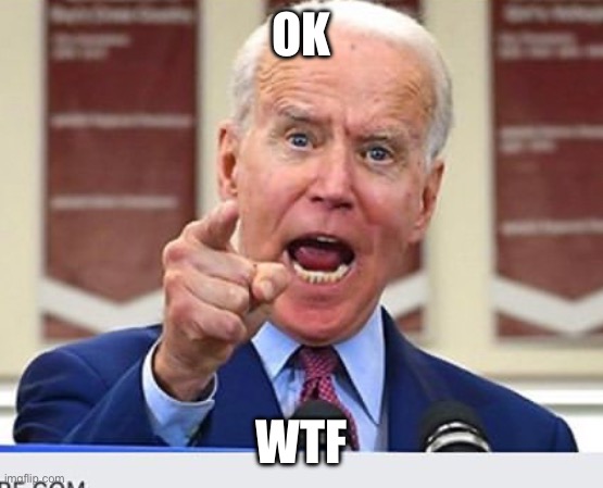 Joe Biden no malarkey | OK WTF⁉️⁉️ | image tagged in joe biden no malarkey | made w/ Imgflip meme maker