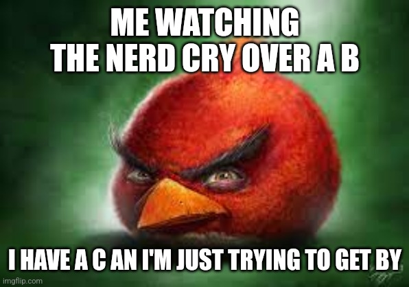 Ungrateful nerd | ME WATCHING THE NERD CRY OVER A B; I HAVE A C AN I'M JUST TRYING TO GET BY | image tagged in realistic red angry birds | made w/ Imgflip meme maker