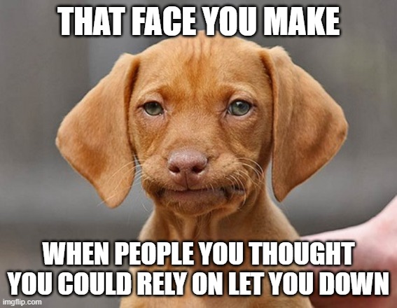 That face you make | THAT FACE YOU MAKE; WHEN PEOPLE YOU THOUGHT YOU COULD RELY ON LET YOU DOWN | image tagged in disappointed puppy | made w/ Imgflip meme maker