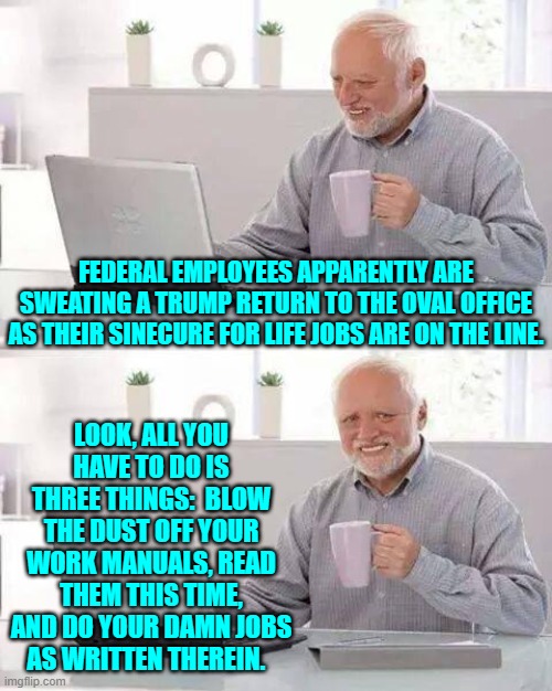 Imagine most federal employees actually doing their jobs.  The mind boggles. | FEDERAL EMPLOYEES APPARENTLY ARE SWEATING A TRUMP RETURN TO THE OVAL OFFICE AS THEIR SINECURE FOR LIFE JOBS ARE ON THE LINE. LOOK, ALL YOU HAVE TO DO IS THREE THINGS:  BLOW THE DUST OFF YOUR WORK MANUALS, READ THEM THIS TIME, AND DO YOUR DAMN JOBS AS WRITTEN THEREIN. | image tagged in hide the pain harold | made w/ Imgflip meme maker