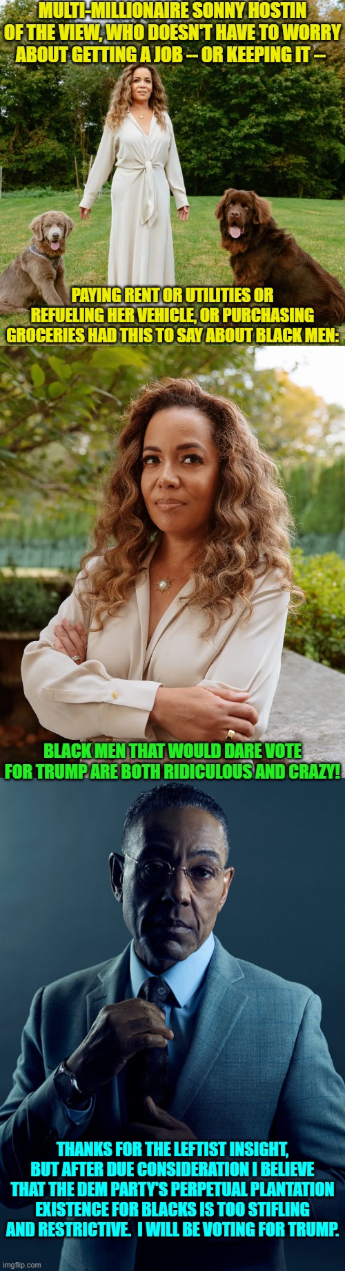 They choose freedom.  Go figure. | MULTI-MILLIONAIRE SONNY HOSTIN OF THE VIEW, WHO DOESN'T HAVE TO WORRY ABOUT GETTING A JOB -- OR KEEPING IT --; PAYING RENT OR UTILITIES OR REFUELING HER VEHICLE, OR PURCHASING GROCERIES HAD THIS TO SAY ABOUT BLACK MEN:; BLACK MEN THAT WOULD DARE VOTE FOR TRUMP ARE BOTH RIDICULOUS AND CRAZY! THANKS FOR THE LEFTIST INSIGHT, BUT AFTER DUE CONSIDERATION I BELIEVE THAT THE DEM PARTY'S PERPETUAL PLANTATION EXISTENCE FOR BLACKS IS TOO STIFLING AND RESTRICTIVE.  I WILL BE VOTING FOR TRUMP. | image tagged in yep | made w/ Imgflip meme maker