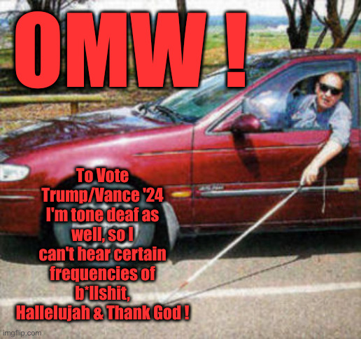 They Said We're Blind | OMW ! To Vote Trump/Vance '24
I'm tone deaf as well, so I can't hear certain frequencies of b*llshit, Hallelujah & Thank God ! | image tagged in blind man driving,political meme,politics,funny memes,funny,donald trump | made w/ Imgflip meme maker