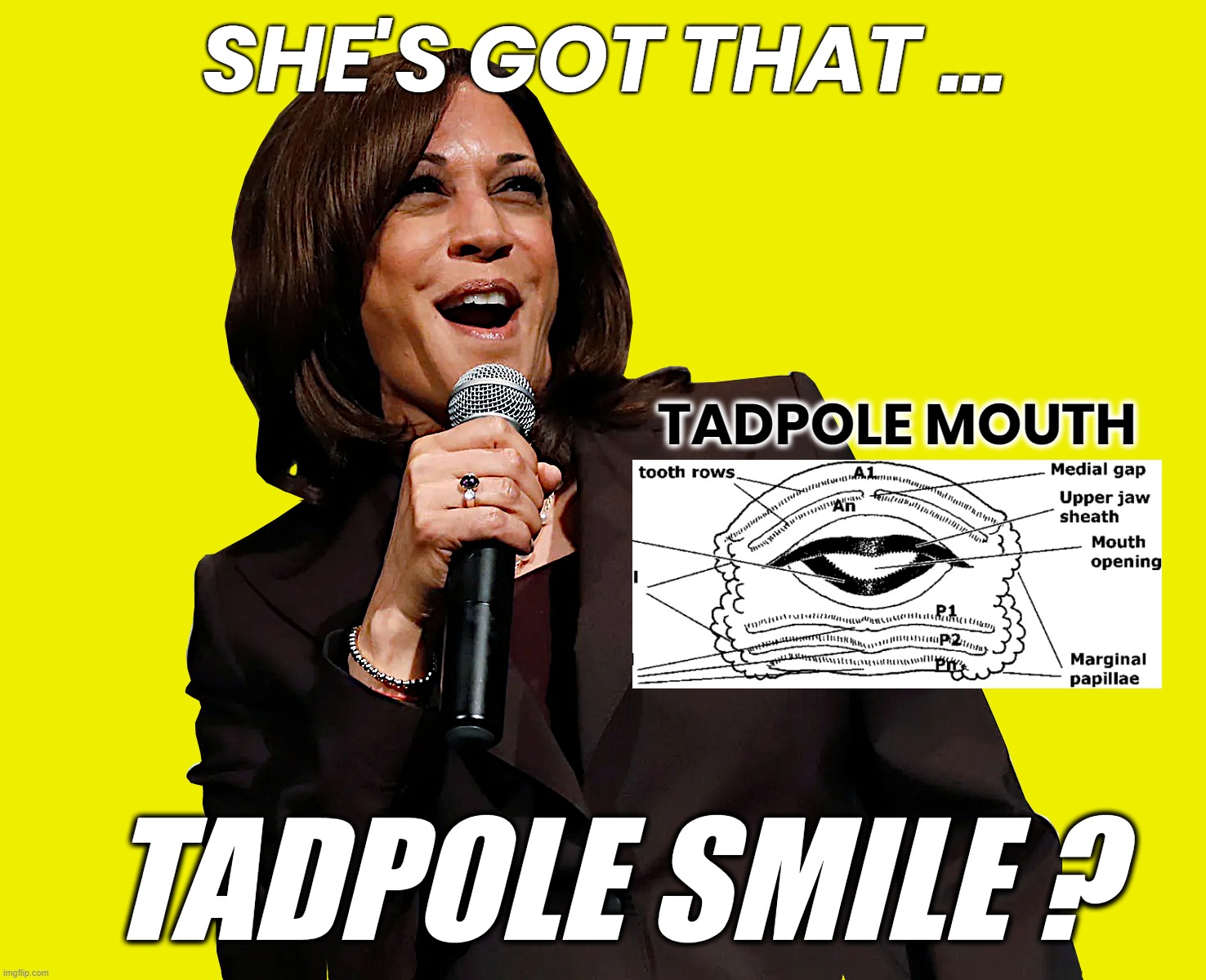 SHE'S GOT THAT ... | SHE'S GOT THAT ... TADPOLE MOUTH; TADPOLE SMILE ? | image tagged in kamala harris,tadpole,smile,mouth,biden,coup | made w/ Imgflip meme maker