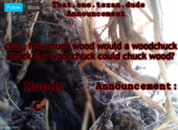 THE that.one.texan.dude announcement template | chat, how much wood would a woodchuck chuck if a woodchuck could chuck wood? c | image tagged in the that one texan dude announcement template | made w/ Imgflip meme maker