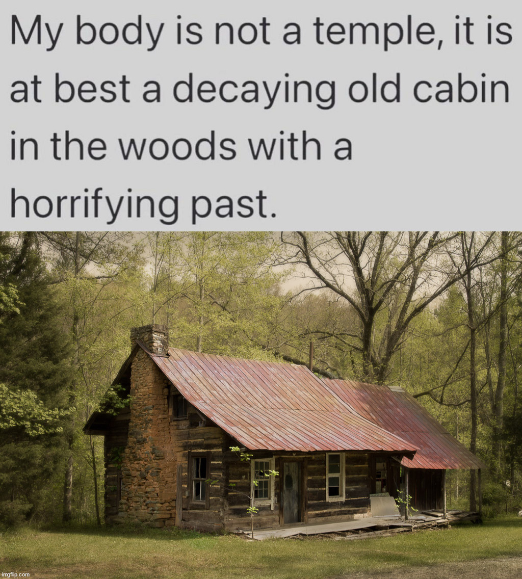 Cabin | image tagged in secluded cabin | made w/ Imgflip meme maker