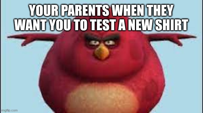 Testing a new shirt be like... | YOUR PARENTS WHEN THEY WANT YOU TO TEST A NEW SHIRT | image tagged in i m da biggest bird,shirt,angry birds | made w/ Imgflip meme maker