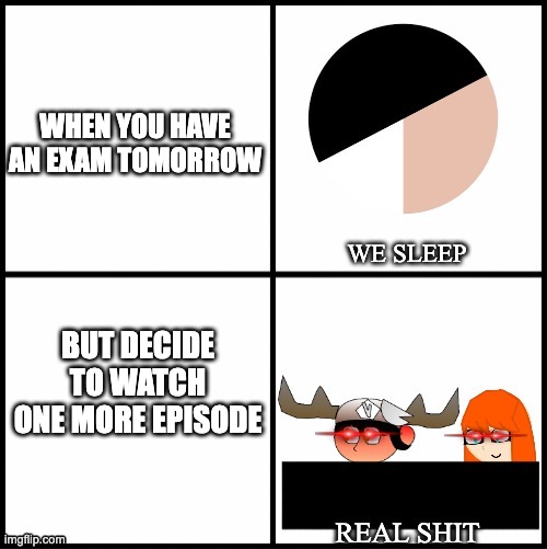 ai lol | WHEN YOU HAVE AN EXAM TOMORROW; BUT DECIDE TO WATCH ONE MORE EPISODE | image tagged in sleeping smg5 and meggy | made w/ Imgflip meme maker