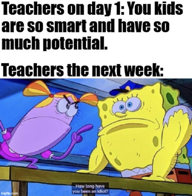 Potential | image tagged in school | made w/ Imgflip meme maker