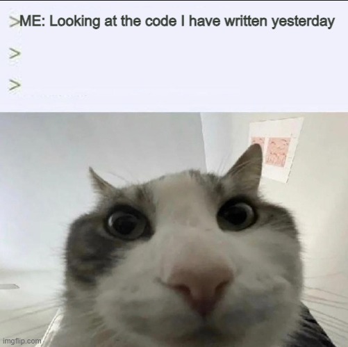 Code Failed | ME: Looking at the code I have written yesterday | image tagged in cat looks inside,what the hell happened here | made w/ Imgflip meme maker