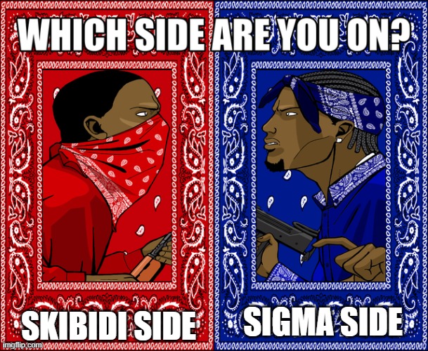 aughguaughgua | SKIBIDI SIDE; SIGMA SIDE | image tagged in which side are you on | made w/ Imgflip meme maker