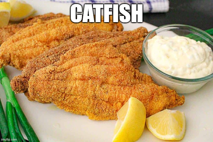 CATFISH | CATFISH | image tagged in catfish | made w/ Imgflip meme maker