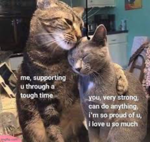 Support <3 | made w/ Imgflip meme maker