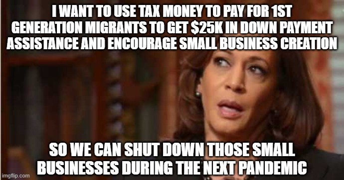 Kamala Harris | I WANT TO USE TAX MONEY TO PAY FOR 1ST GENERATION MIGRANTS TO GET $25K IN DOWN PAYMENT ASSISTANCE AND ENCOURAGE SMALL BUSINESS CREATION; SO WE CAN SHUT DOWN THOSE SMALL BUSINESSES DURING THE NEXT PANDEMIC | image tagged in kamala harris | made w/ Imgflip meme maker