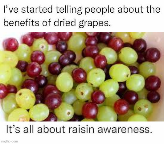 Grapes | image tagged in grapes | made w/ Imgflip meme maker