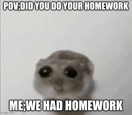 mouse meme 2 | POV;DID YOU DO YOUR HOMEWORK; ME;WE HAD HOMEWORK | image tagged in sad mouse | made w/ Imgflip meme maker