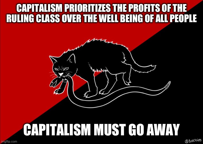 Capitalism is bad | CAPITALISM PRIORITIZES THE PROFITS OF THE RULING CLASS OVER THE WELL BEING OF ALL PEOPLE; CAPITALISM MUST GO AWAY | image tagged in sabo cat with snake,capitalism | made w/ Imgflip meme maker