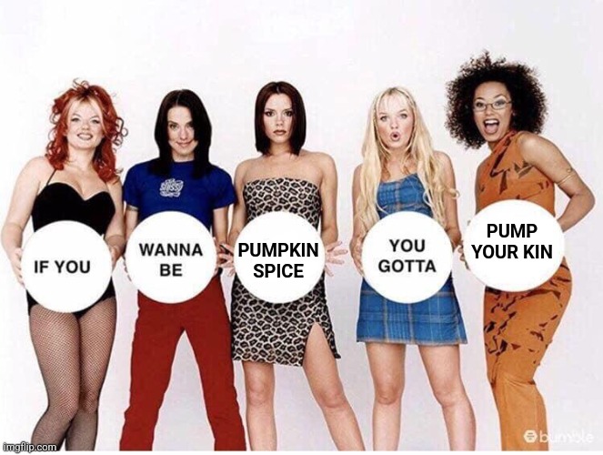 Spice Girls If You Wanna Be | PUMPKIN SPICE PUMP YOUR KIN | image tagged in spice girls if you wanna be | made w/ Imgflip meme maker