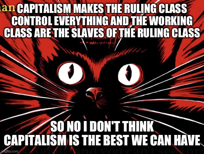 Hurry now! Wonder how? | CAPITALISM MAKES THE RULING CLASS CONTROL EVERYTHING AND THE WORKING CLASS ARE THE SLAVES OF THE RULING CLASS; SO NO I DON'T THINK CAPITALISM IS THE BEST WE CAN HAVE | image tagged in sabo tabby,capitalism | made w/ Imgflip meme maker