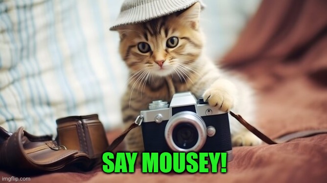 SAY MOUSEY! | made w/ Imgflip meme maker