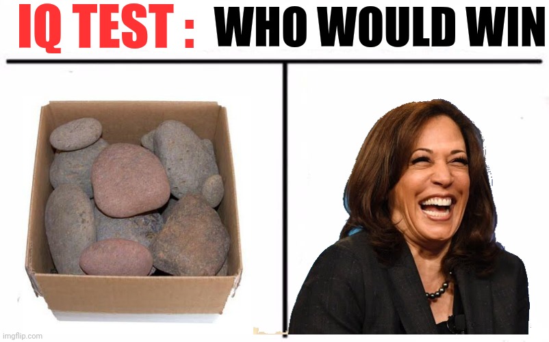 Who Would Win Blank | IQ TEST : WHO WOULD WIN | image tagged in who would win blank | made w/ Imgflip meme maker