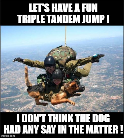 Help Meeeeeeeeeeeeeee ! | LET'S HAVE A FUN TRIPLE TANDEM JUMP ! I DON'T THINK THE DOG HAD ANY SAY IN THE MATTER ! | image tagged in dogs,parachute,jump,no choice,help me | made w/ Imgflip meme maker