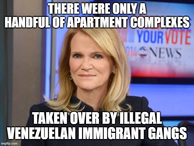 Martha Raddatz | THERE WERE ONLY A HANDFUL OF APARTMENT COMPLEXES TAKEN OVER BY ILLEGAL VENEZUELAN IMMIGRANT GANGS | image tagged in martha raddatz | made w/ Imgflip meme maker