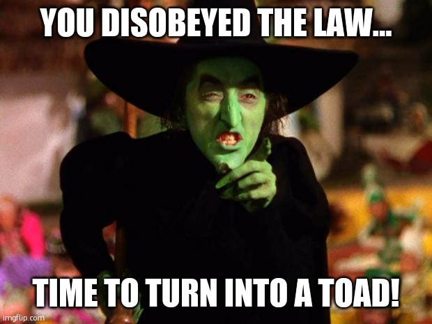 wicked witch  | YOU DISOBEYED THE LAW... TIME TO TURN INTO A TOAD! | image tagged in wicked witch | made w/ Imgflip meme maker