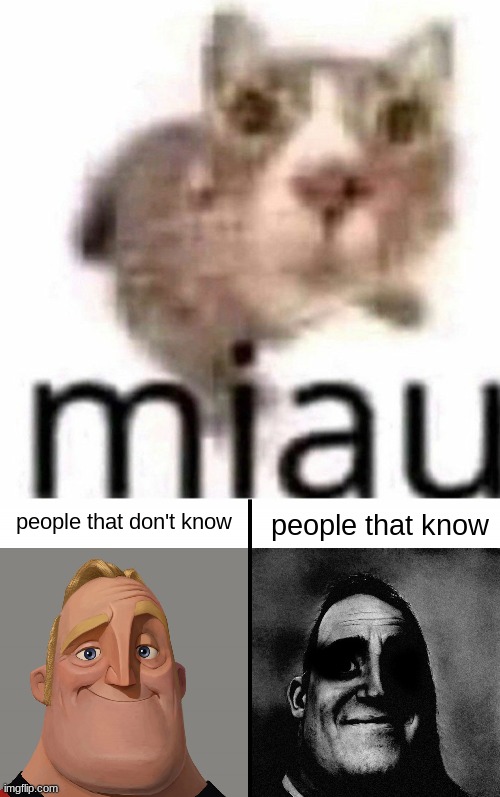 people that don't know; people that know | image tagged in miau,mr increible | made w/ Imgflip meme maker