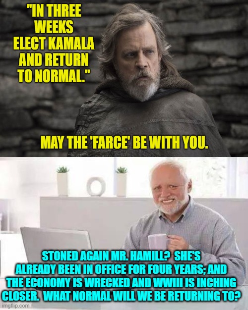 What in the f**k do these lunatic leftists consider . . . normal? | STONED AGAIN MR. HAMILL?  SHE'S ALREADY BEEN IN OFFICE FOR FOUR YEARS; AND THE ECONOMY IS WRECKED AND WWIII IS INCHING CLOSER.  WHAT NORMAL WILL WE BE RETURNING TO? | image tagged in hide the pain harold | made w/ Imgflip meme maker