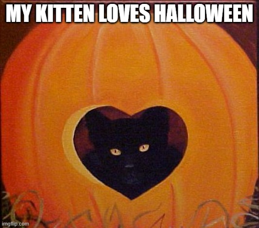 memes by Brad - My kitten just loves Halloween | MY KITTEN LOVES HALLOWEEN | image tagged in funny,cats,cute kitten,black cat,halloween,humor | made w/ Imgflip meme maker