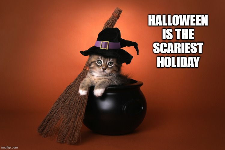 memes by Brad - Halloween is the scariest holiday - cats | HALLOWEEN IS THE SCARIEST HOLIDAY | image tagged in funny,cats,kitten,halloween,humor,cute kittens | made w/ Imgflip meme maker