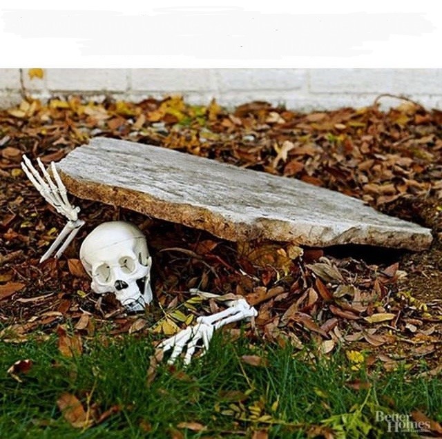 High Quality skeleton rising from the grave Blank Meme Template