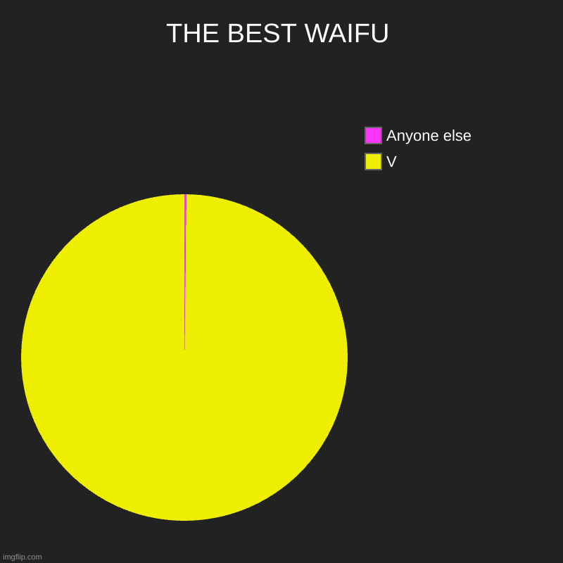 V | THE BEST WAIFU | V, Anyone else | image tagged in charts,pie charts | made w/ Imgflip chart maker