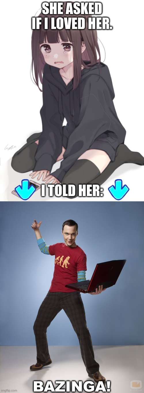 BAZINGA! | image tagged in she asked if i loved her,sheldon cooper computer | made w/ Imgflip meme maker