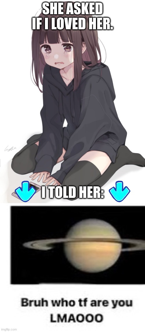 image tagged in she asked if i loved her,bruh who tf are you | made w/ Imgflip meme maker