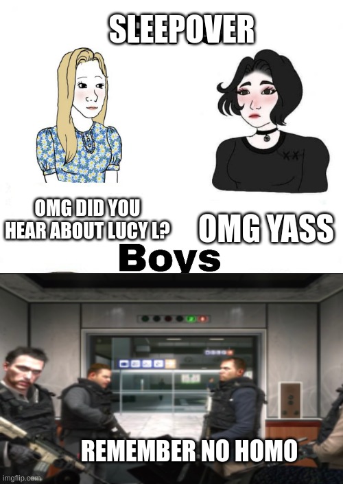 a title that titles | SLEEPOVER; OMG DID YOU HEAR ABOUT LUCY L? OMG YASS; REMEMBER NO HOMO | image tagged in girls vs boys | made w/ Imgflip meme maker