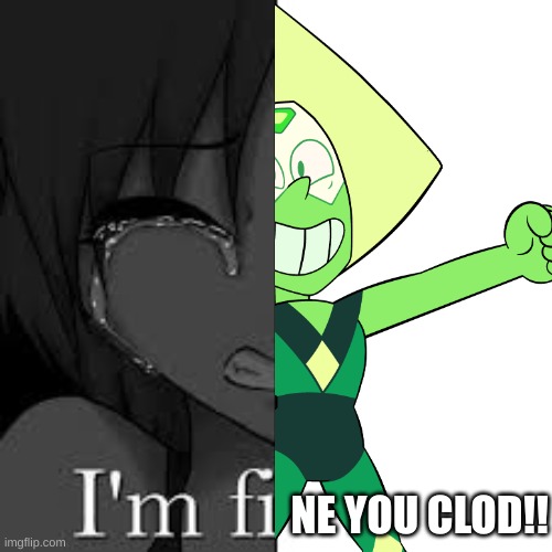 im fine | NE YOU CLOD!! | image tagged in im fine | made w/ Imgflip meme maker