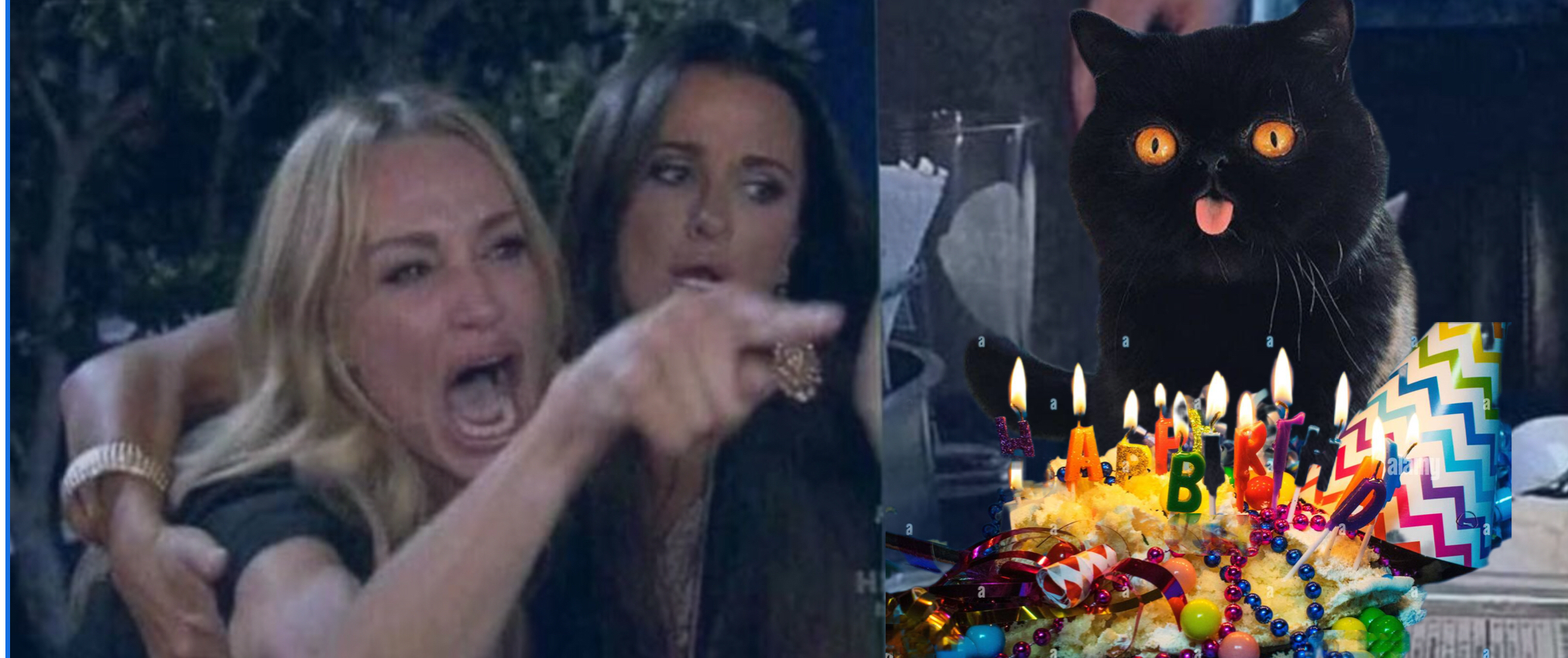 Accused Cat birthday smashed cake Blank Meme Template