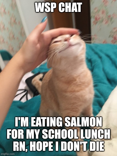 :3 | WSP CHAT; I'M EATING SALMON FOR MY SCHOOL LUNCH RN, HOPE I DON'T DIE | image tagged in cat pat | made w/ Imgflip meme maker