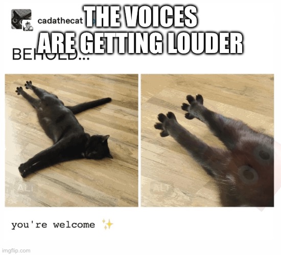THE VOICES ARE GETTING LOUDER | made w/ Imgflip meme maker