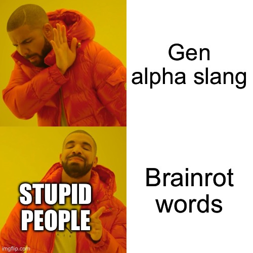 Meme #264 | Gen alpha slang; Brainrot words; STUPID PEOPLE | image tagged in memes,drake hotline bling,brainrot,gen alpha | made w/ Imgflip meme maker