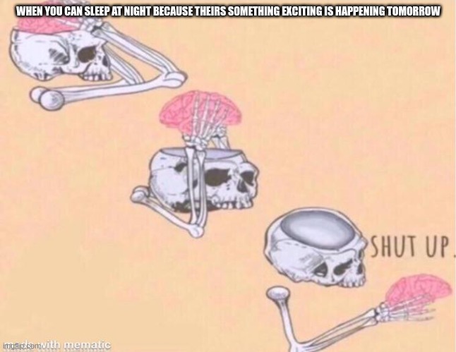 SHUT UP!!!!! | WHEN YOU CAN SLEEP AT NIGHT BECAUSE THEIRS SOMETHING EXCITING IS HAPPENING TOMORROW | image tagged in skeleton shut up meme | made w/ Imgflip meme maker