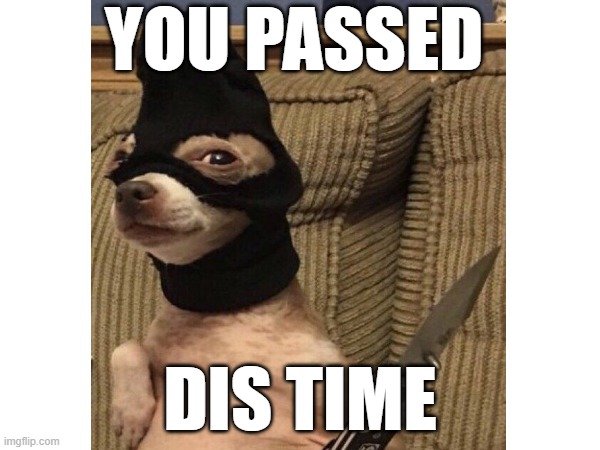 DAWG | YOU PASSED; DIS TIME | image tagged in yo dawg | made w/ Imgflip meme maker