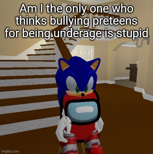 What did sou yay | Am I the only one who thinks bullying preteens for being underage is stupid | image tagged in what did sou yay | made w/ Imgflip meme maker
