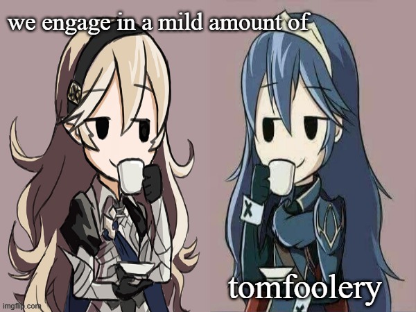 Lucina and Corrin sipping tea | we engage in a mild amount of; tomfoolery | image tagged in lucina and corrin sipping tea | made w/ Imgflip meme maker