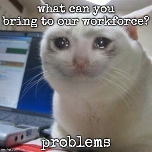 Crying cat | what can you bring to our workforce? problems | image tagged in crying cat | made w/ Imgflip meme maker