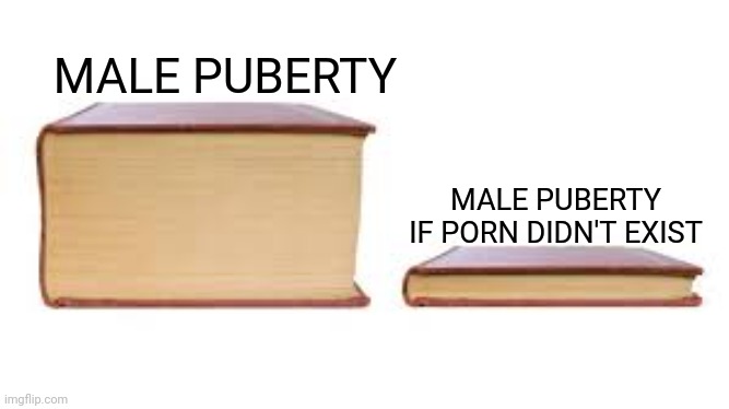 Big book small book | MALE PUBERTY; MALE PUBERTY IF PORN DIDN'T EXIST | image tagged in big book small book | made w/ Imgflip meme maker