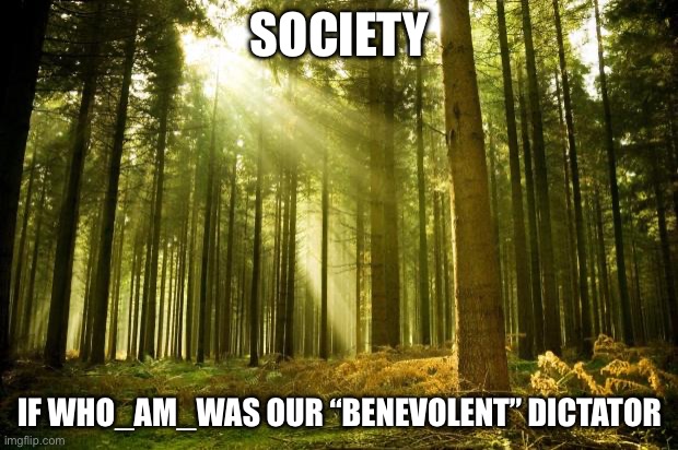 The forest was loved | SOCIETY; IF WHO_AM_WAS OUR “BENEVOLENT” DICTATOR | image tagged in sunlit forest,forest | made w/ Imgflip meme maker